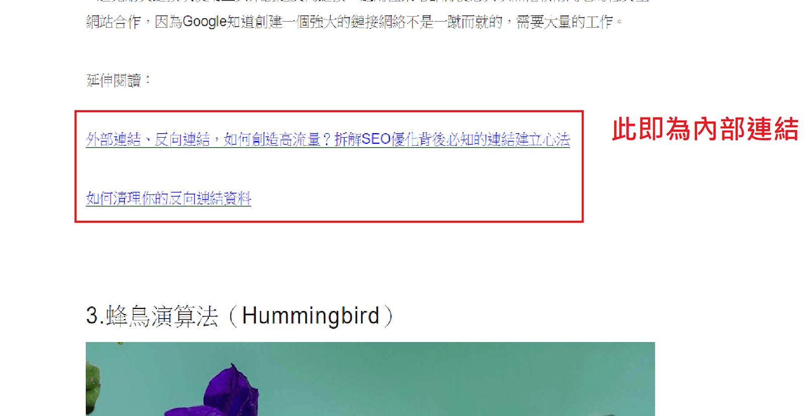 SEO概念07